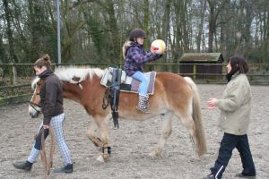 Einsatz des Therapiepferdes Pildu bei der Ev. Kinder- und Familienhilfe Bruckhausen.