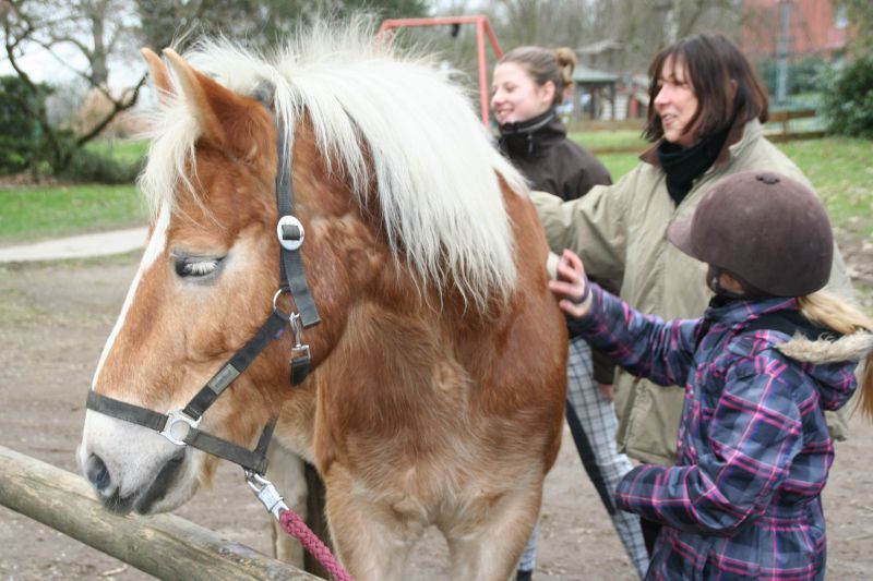 Einsatz des Therapiepferdes Pildu bei der Ev. Kinder- und Familienhilfe Bruckhausen.